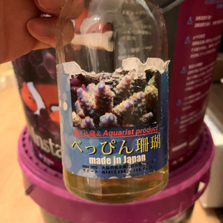 べっぴんサンゴ　炭素源