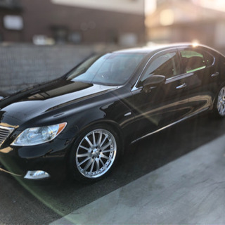 ３月末で一時抹消します。レクサス　LS460 バージョンS