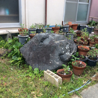 庭石４つの画像