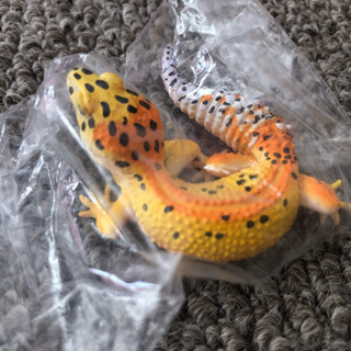 【フィギュア】レオパ ハイポタンジェリンCの画像