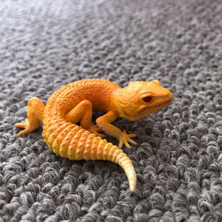 【フィギュア】レオパ ラプター Aの画像