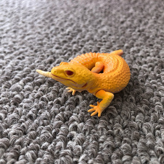 【フィギュア】レオパ ラプター Aの画像