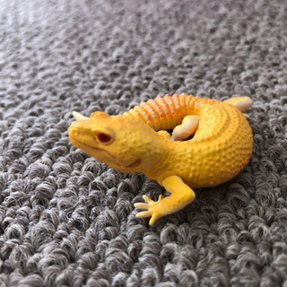 【フィギュア】レオパ ラプター Bの画像