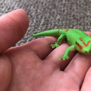 【フィギュア】マダガスカルヒルヤモリの画像