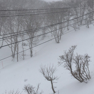 2月20日(木)予定空いてる方募集です。(1名決まっております)