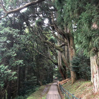 神社仏閣仲間