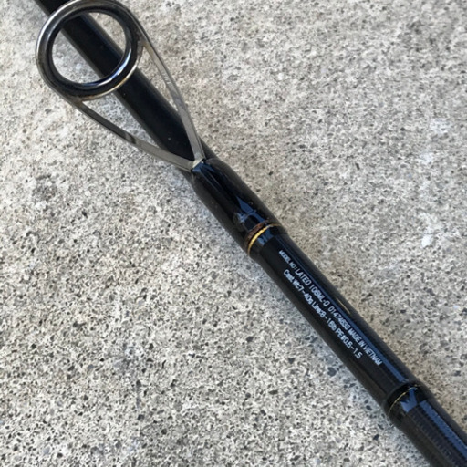 DAIWA ラテオ 106ML・Q シーバスロッド、サーフのヒラメ・ジギングにも