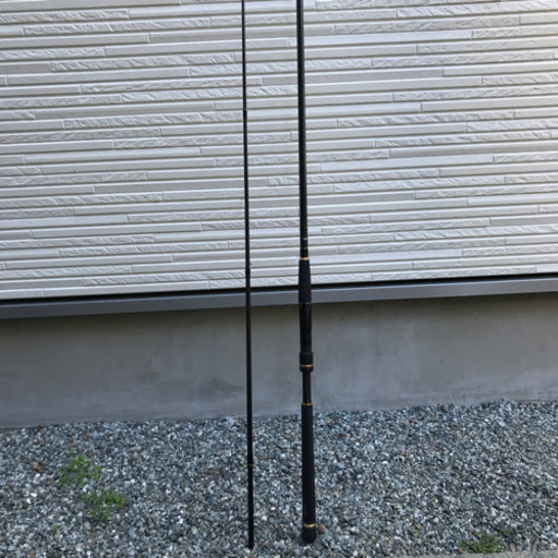 DAIWA ラテオ 106ML・Q シーバスロッド、サーフのヒラメ・ジギングにも