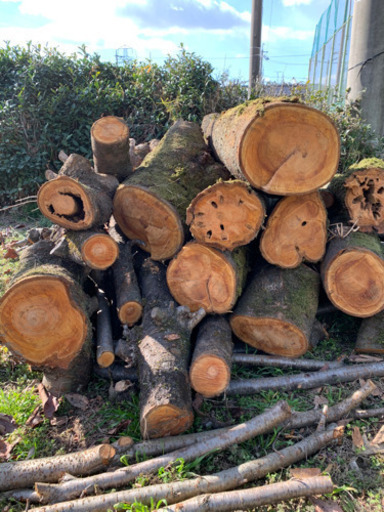 桜の原木　薪用　値下げしました