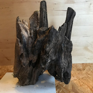 流木