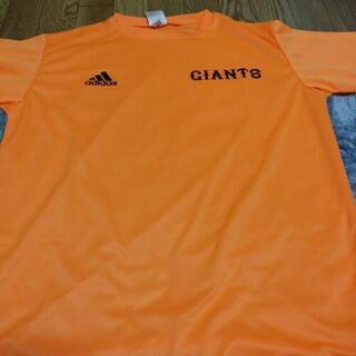 読売ジャイアンツ シャツ Oサイズ