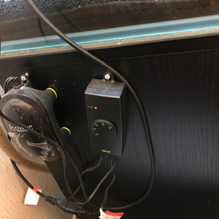 ディスカス3匹、水槽、備品全て値下げの画像