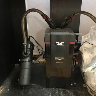 ディスカス3匹、水槽、備品全て値下げの画像