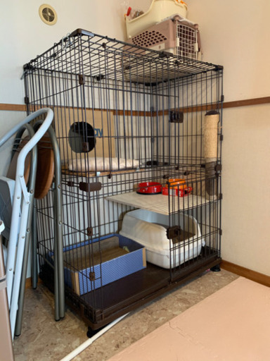ゲージ