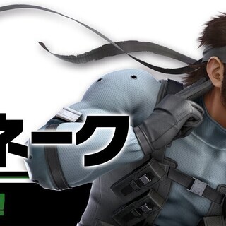 大乱闘スマッシュブラザーズ Special　スネーク研究会