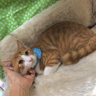 シャイなエム君1才