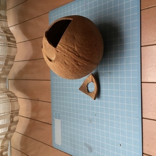 椰子の実の殻？　フラワーアレンジメント用などの画像