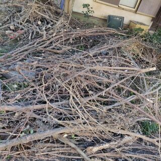 枯れ枝　剪定枝　薪等に是非お使いください