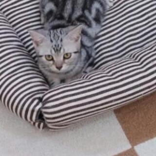 💝精神疾患者とその仲間達🐱