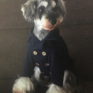 犬服