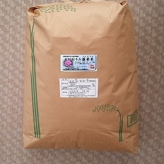 こだわりのお米-玄米30kg(他10、20kg)-37