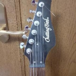Chatting Bird エレキギターの画像