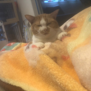 11日の昼間でも夕方でも夜でも