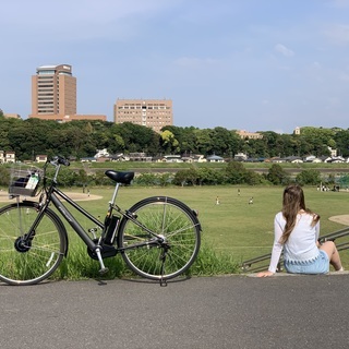 電動自転車　ブリジストンAlbelt 2019年モデル 2台