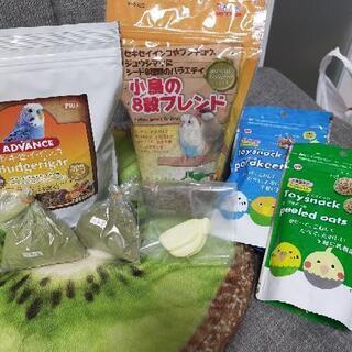 インコの餌 おやつ 5点 プラスおまけ 保護活動費用にします。