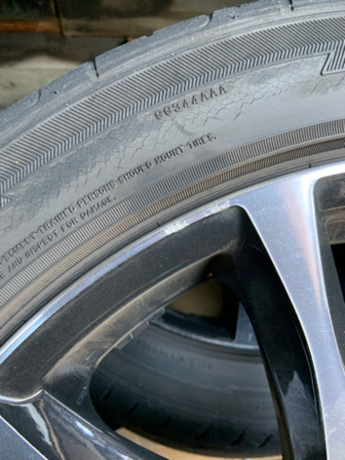 VENERDI マデリーナ19インチ