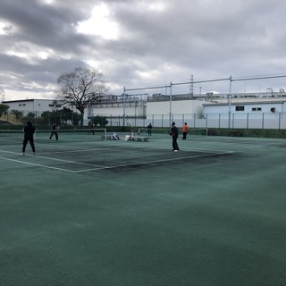 🎾今テニスがおもしろい🎾硬式テニスメンバー募集中！【宮城野パワー...