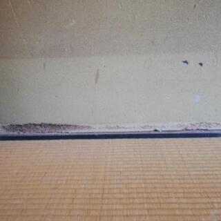 クロス貼り