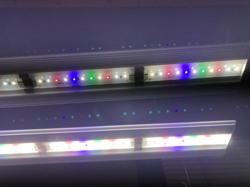 AQULLO grow900特殊30×45×45 コトブキ60×45×45セット