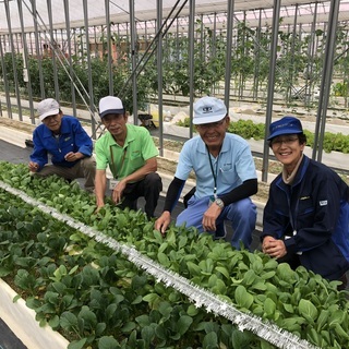 『農業』で『障がいのある方』を笑顔にするお仕事♪障がいのある方と...