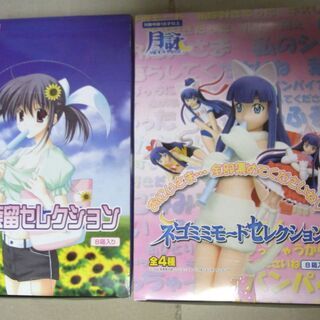 訳あり　七尾奈留セレクション　8箱入り　月詠ネコミミモードセレク...