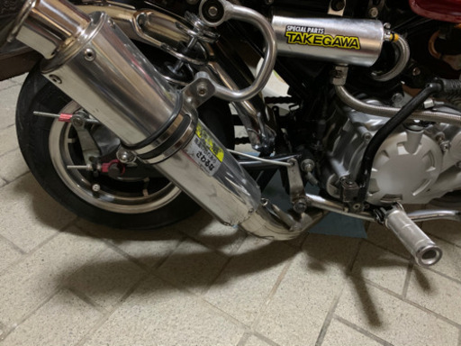 1P60YMJ  モンキーゴリラダックスシャリー