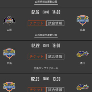 広島ドラゴンフライズ観戦仲間募集🌟 - 広島市