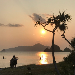のんびり好きなひと〜