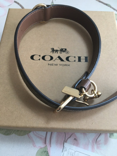 coach コーチ　大型犬　首輪　新品　未使用　箱付き