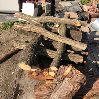 椎茸の原木の画像