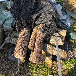 椎茸の原木の画像