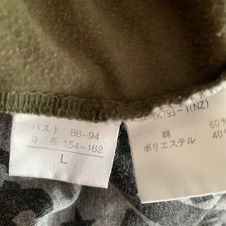 ⭕️値下げ❗️2点セット重ね着風トップスとTシャツ❓の2点Lサイズセットの画像