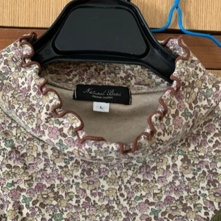 ⭕️値下げ❗️2点セット重ね着風トップスとTシャツ❓の2点Lサイズセットの画像