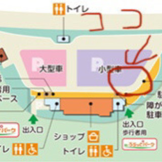 2月12日伊豆方面ドライブツーリング！ - 西東京市
