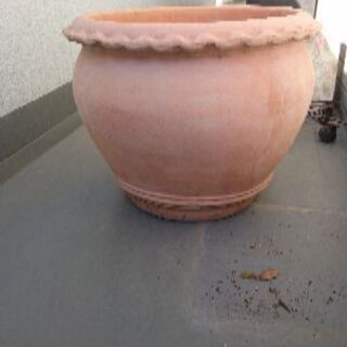 テラコッタ 植木鉢