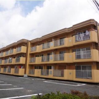 初期費用完全０円！！ペット可物件！おしゃれにリノベ済み！！水戸市...