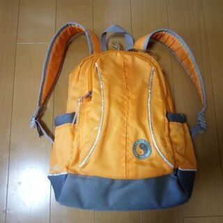 タウンアンドカントリー リュックサック  👦