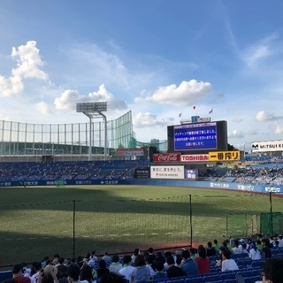 ヤクルトぐるちゃメンバー大募集‼️