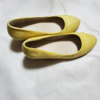 走れるパンプス(春先にオススメ)の画像