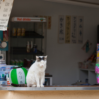 🚙事務👀店番🚙洗車🚙短期間👩ママさん👨学生　ＯＫ　の画像